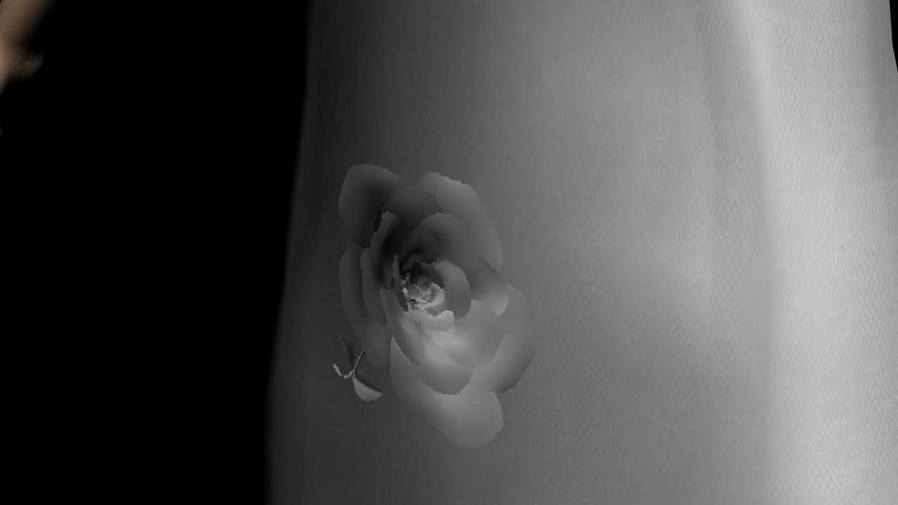 RoseShading